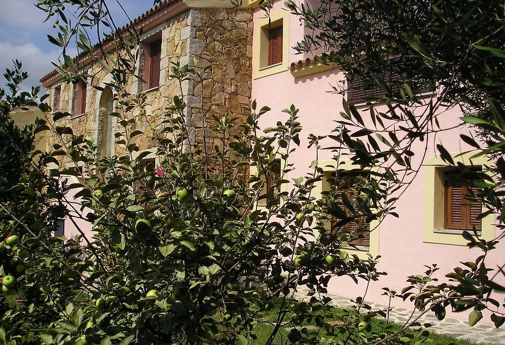 Domenique-1